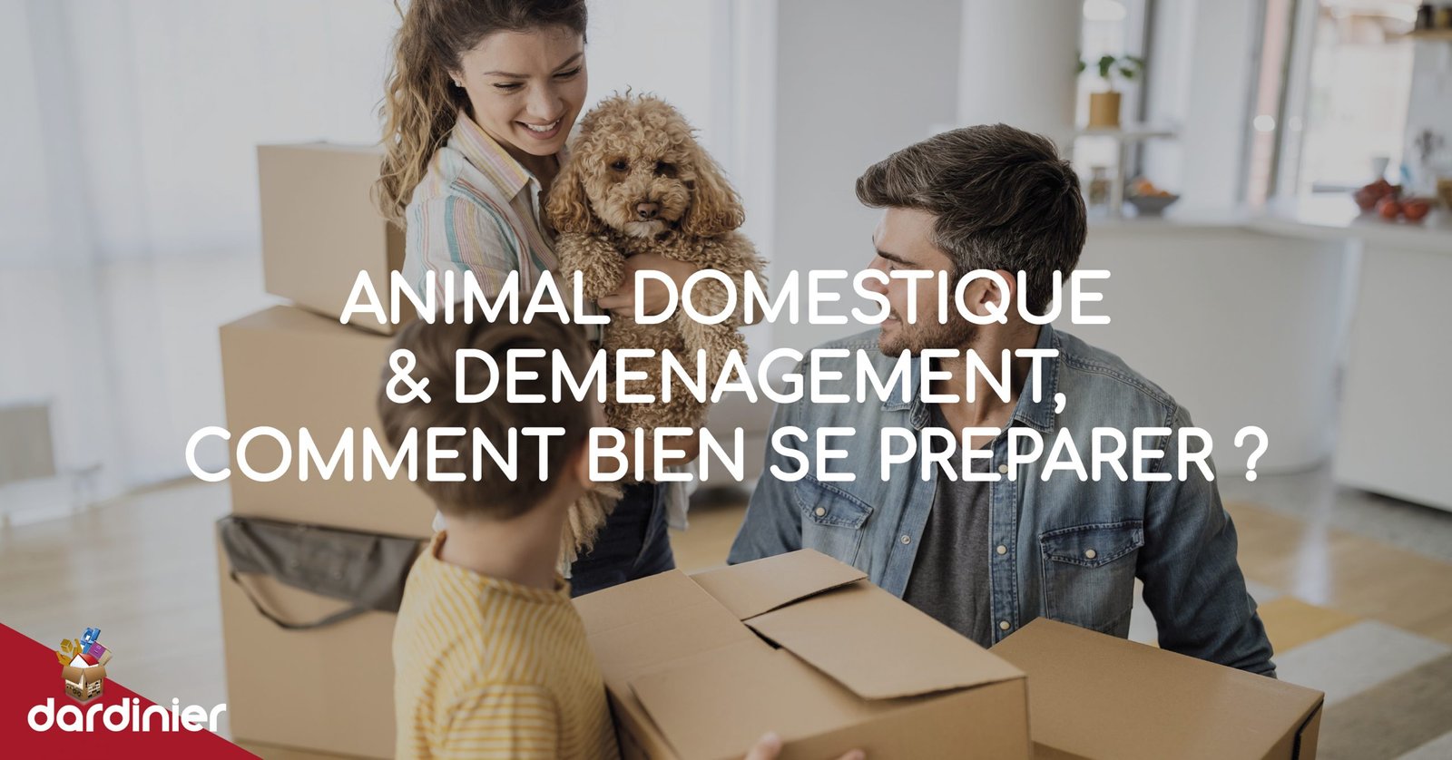 Animal domestique et déménagement, comment bien se préparer ?